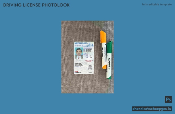 USA Michigan Führerschein unter 21 Jahren Fotoansicht Beispielvorschau
